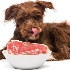 BARF food for healthy dogs2