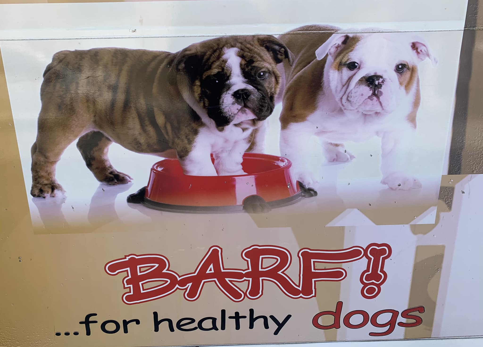BARF FOR HEALTHY DOGS