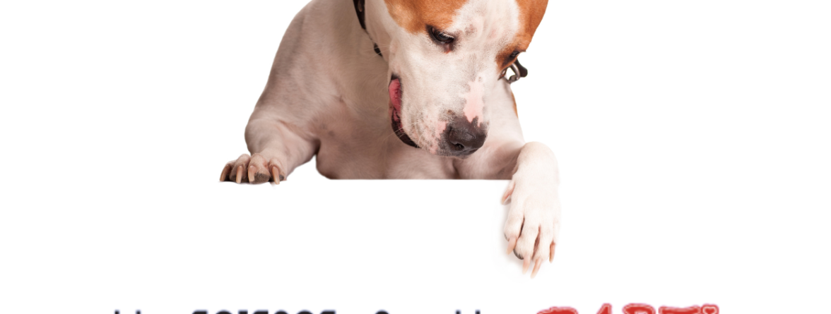 Εταιρία BARFistas - Φυσική ωμή διατροφή,( BARF) σκύλου