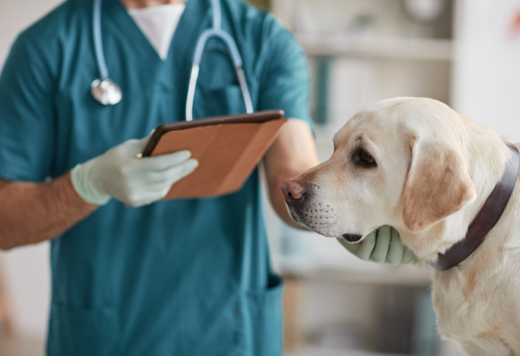 Τροφή BARF και αιματολογικές εξετάσεις σκύλου