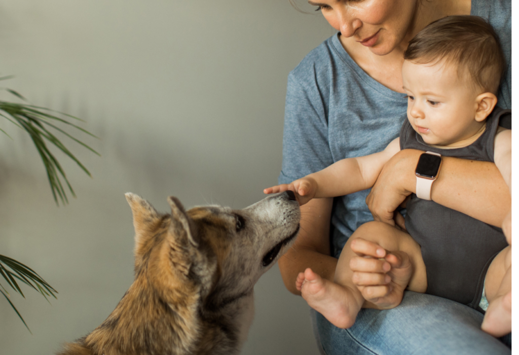 Παιδιά  και σκύλοι : θέλει χρόνο και τρόπο  